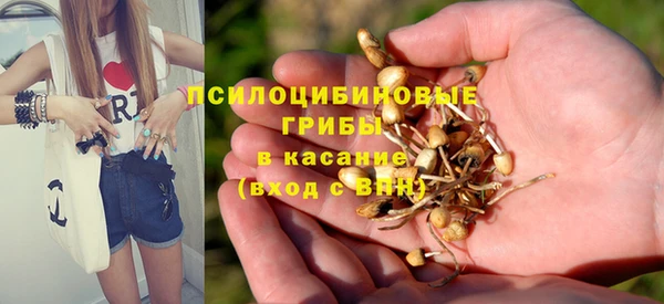 спиды Абдулино