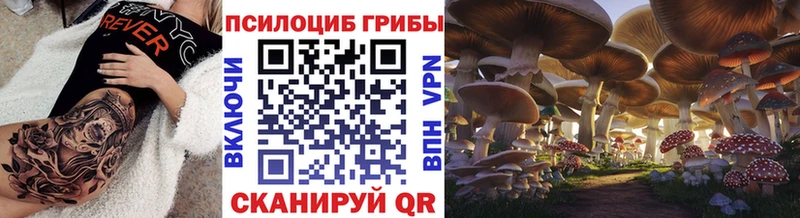где купить наркоту Нерчинск Галлюциногенные грибы Psilocybe